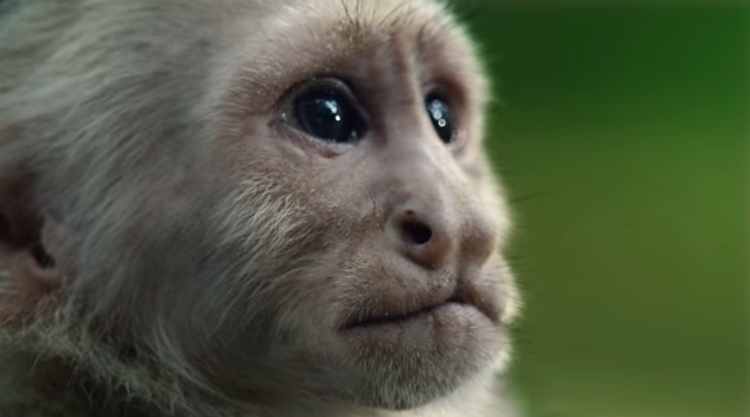 Redescubre la alegría de la cocina