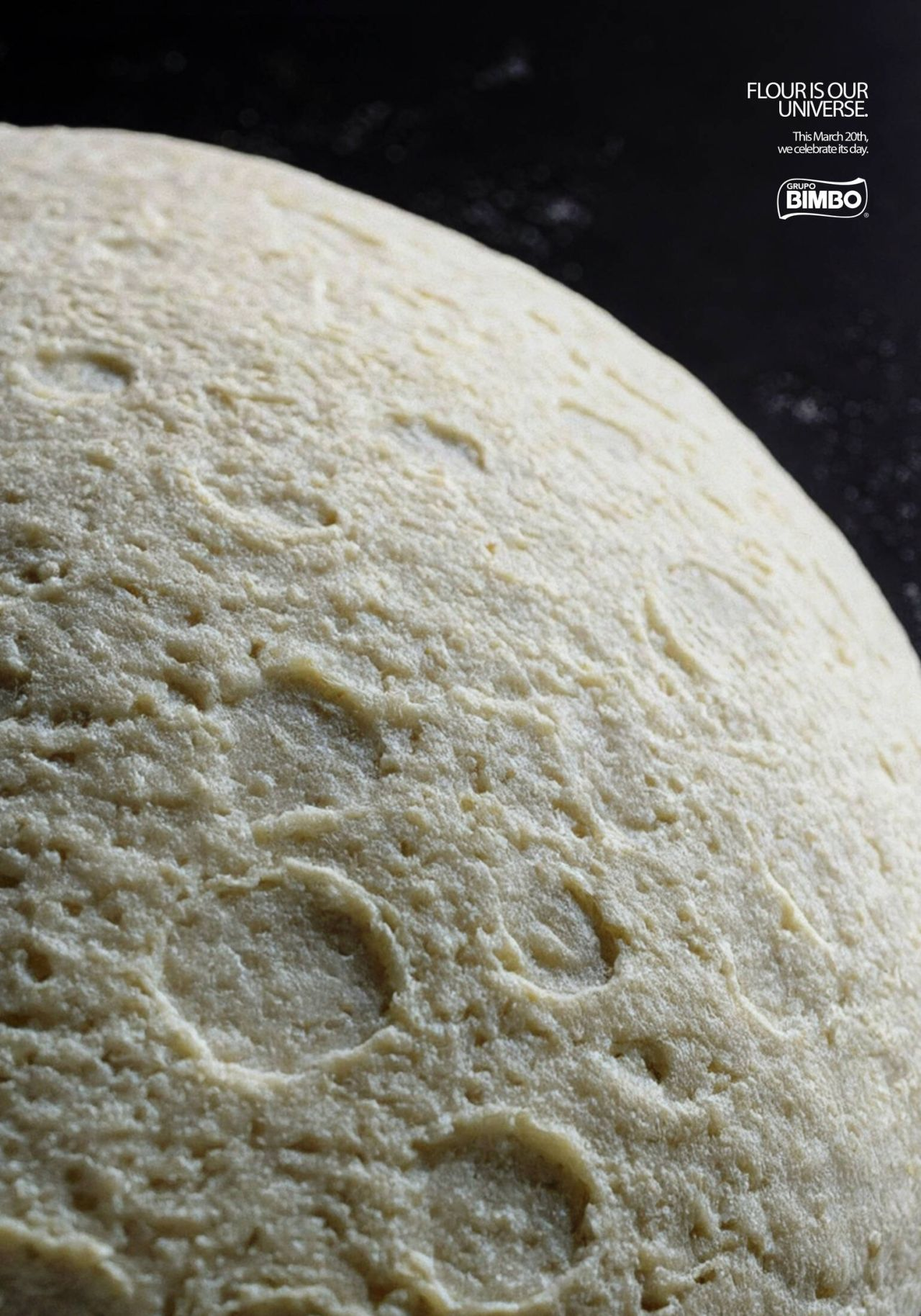 La harina es nuestro universo