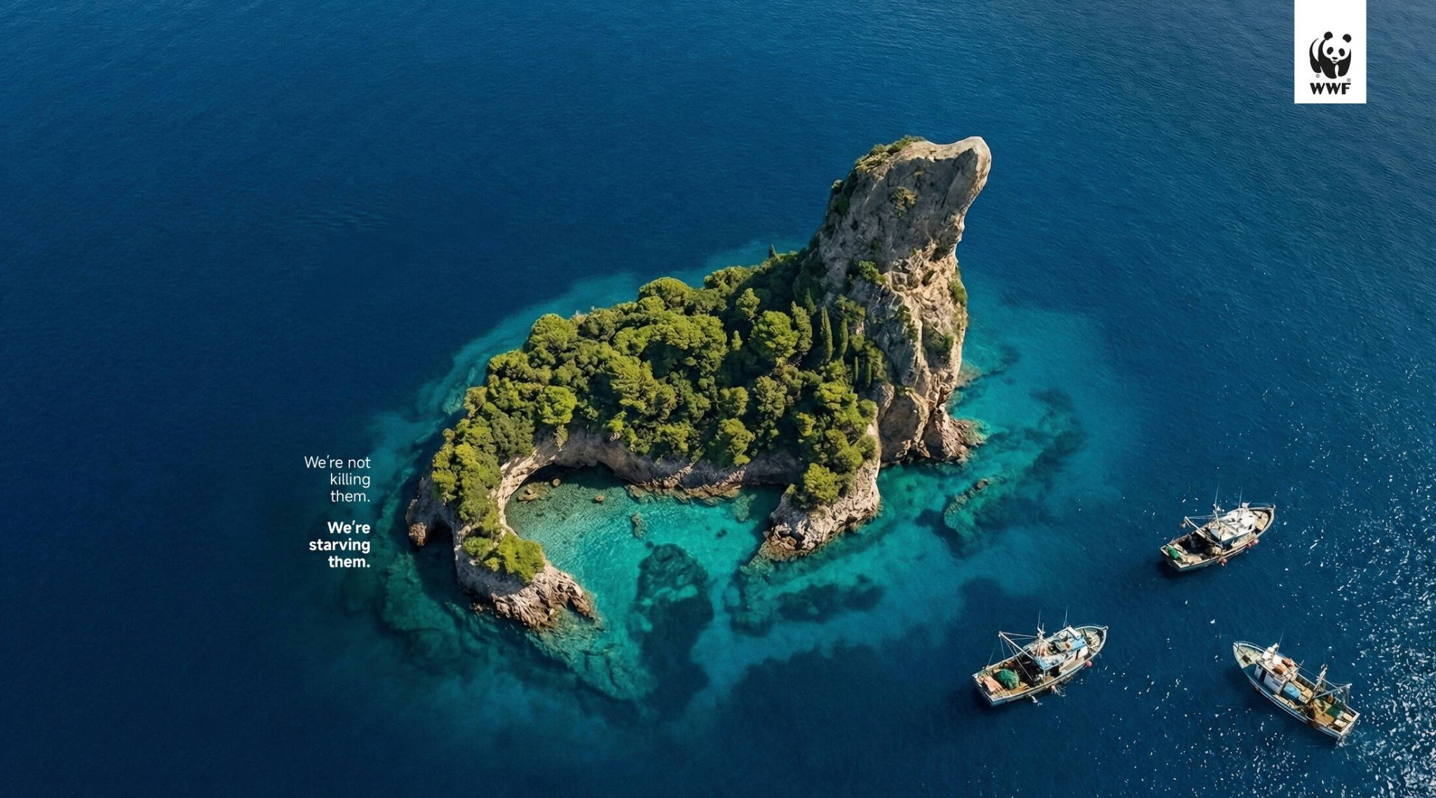 El costo invisible de la pesca